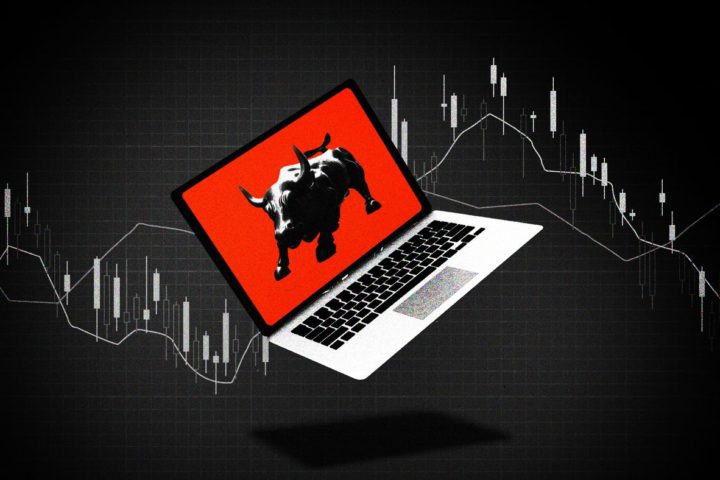 Professional Guidelines for the Amateur Traders