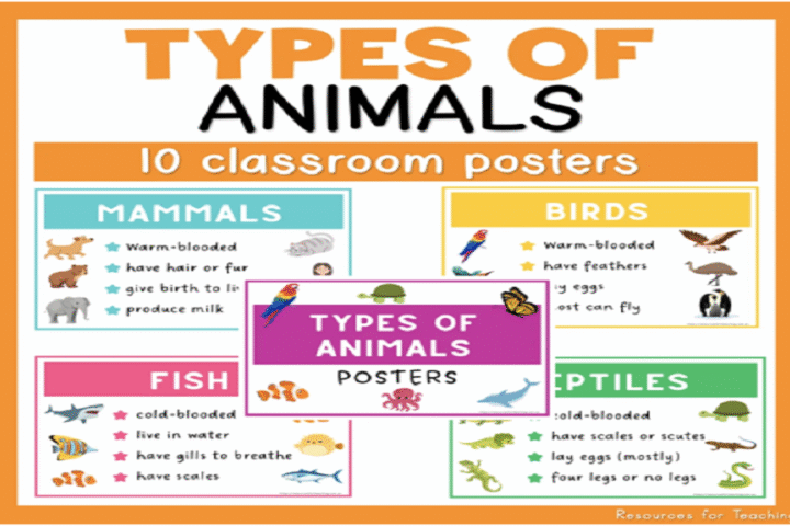 Posters in the Classroom
