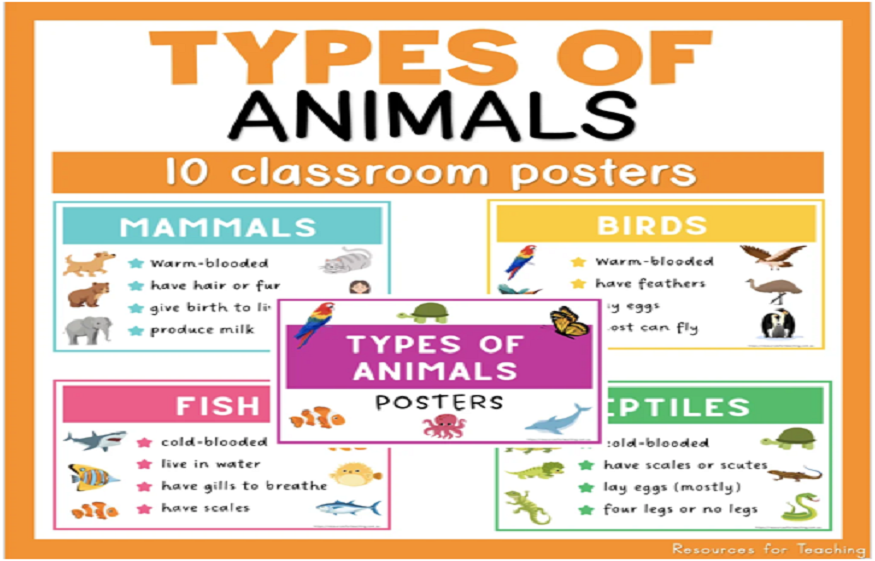 Posters in the Classroom